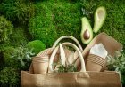 Belleza sostenible: marcas eco-friendly que debes conocer