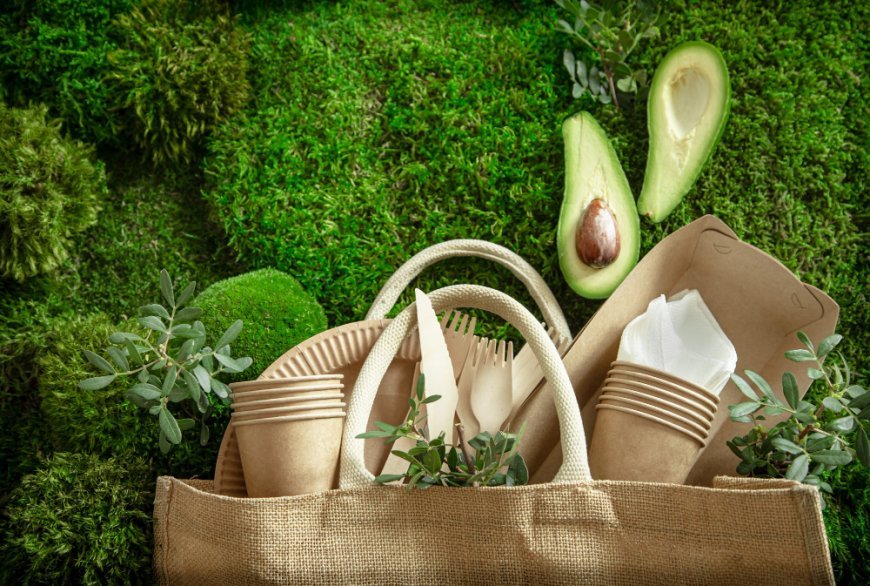 Belleza sostenible: marcas eco-friendly que debes conocer